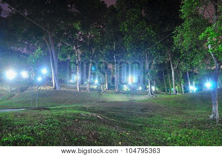 Forest at Clementi Woods Park by night