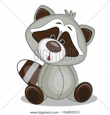 Raccoon