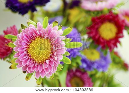 flower bouquet