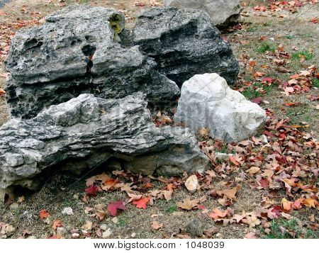 Rock en bladeren