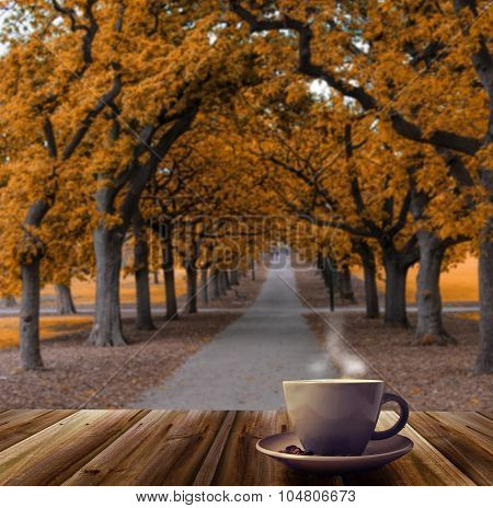 Coffee Cup