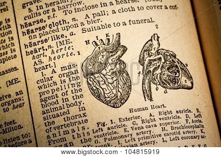 Illustration And Definition Of The Word Hearth.