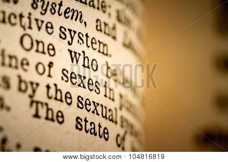 Crop Of Sex Definition With A Small Depth Of Field.
