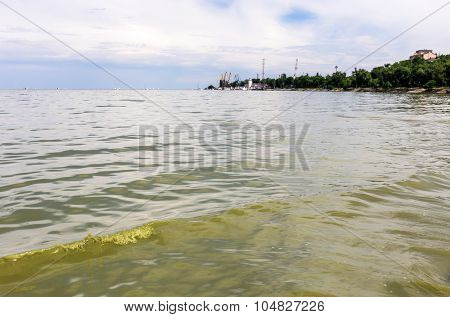Sea