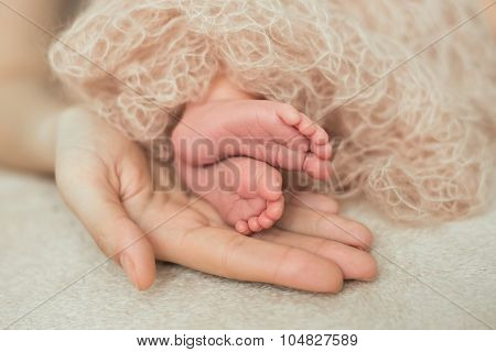 Newborn Baby Feet In The Mother Hands