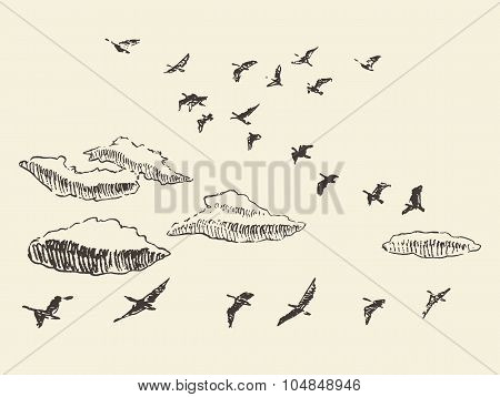 Hand drawn flying birds sky clouds migratory