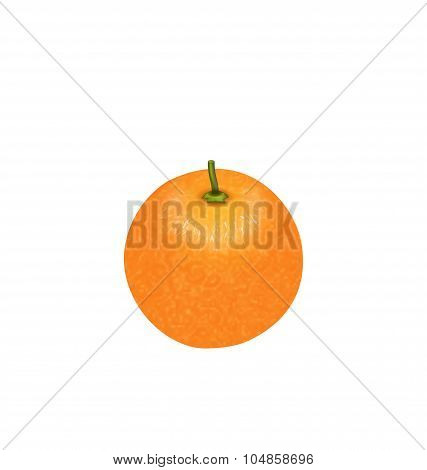 Photo-realistic Orange Fruit Isolated