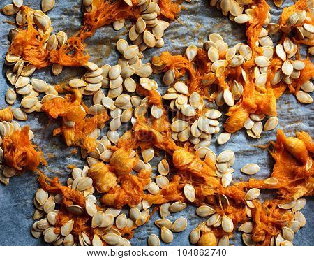 Pumpkin Seeds