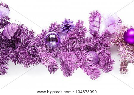 Magenta tree branch with isolated on white.