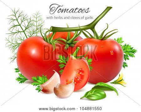 Red ripe tomatoes with herbs and garlic. Vector illustration