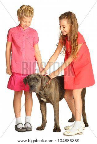 Two beautiful girls look at the big dog isolated on white. Focus on dog
