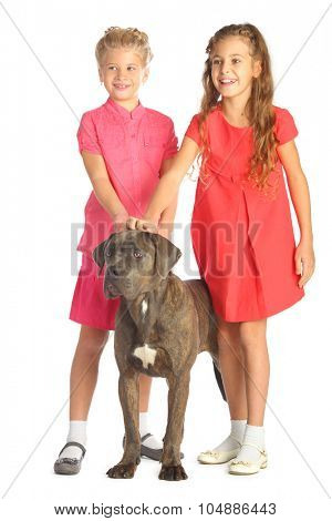 Two beautiful girls joyfully stroking a big dogs head isolated on white. Focus on girl in red dress