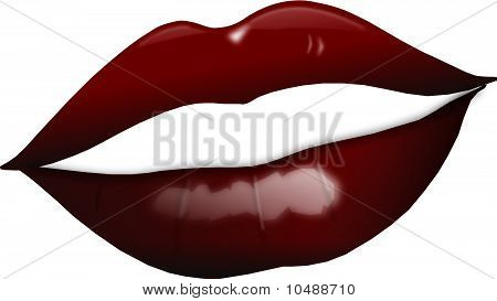 Labbra rosse