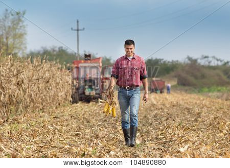 Farmer On Corn Field