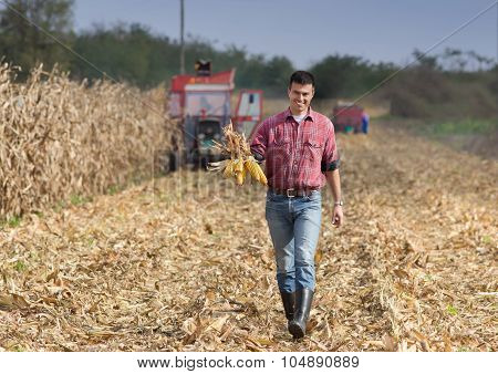 Farmer On Corn Field