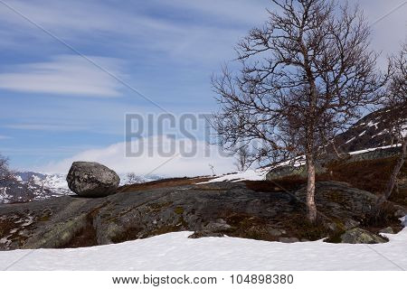 Norewegian Landscape, Hardangervidda