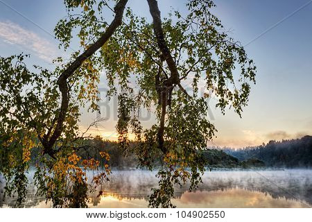 Morning mist