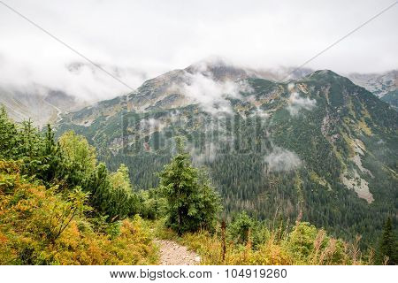 road to Tatra mountains