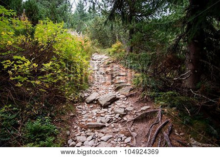 boulder road to High Tatra mountains