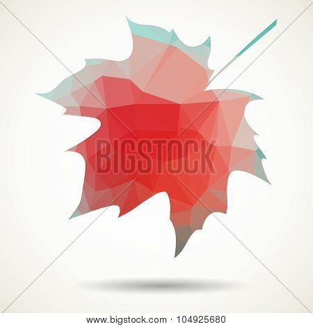 Triangular Maple Leaf