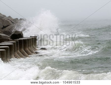 The Wild Sea