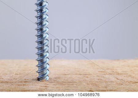 Screw Screwed Into Wooden Plank
