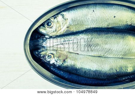 Sprats In A Tin