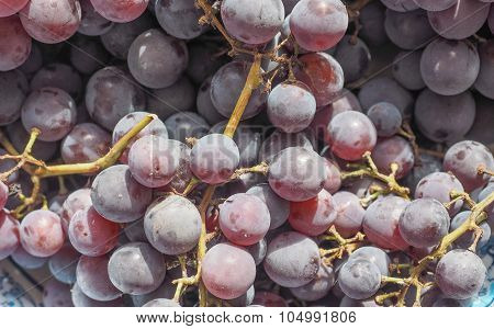 Red Grape Fruits