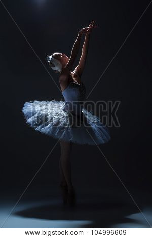 Portrait of the ballerina in ballet tatu on dack background