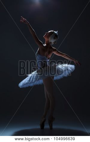 Portrait of the ballerina in ballet tatu on dack background