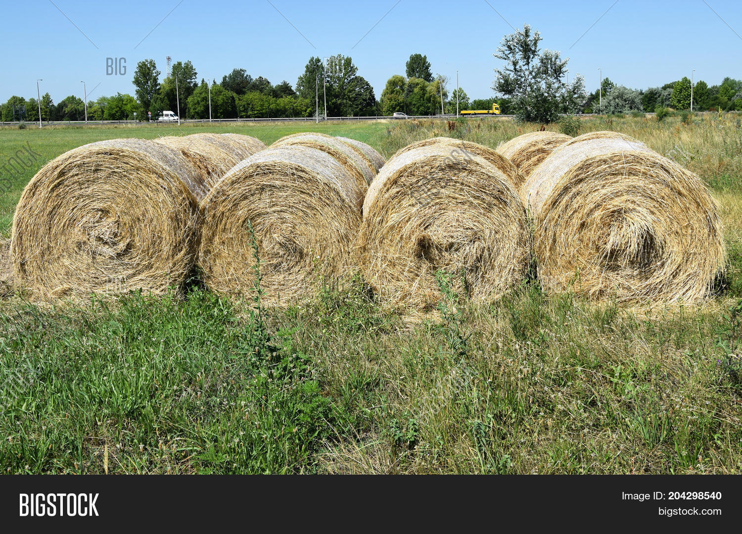 Hay Stacks On Meadow Image & Photo (Free Trial) Bigstock