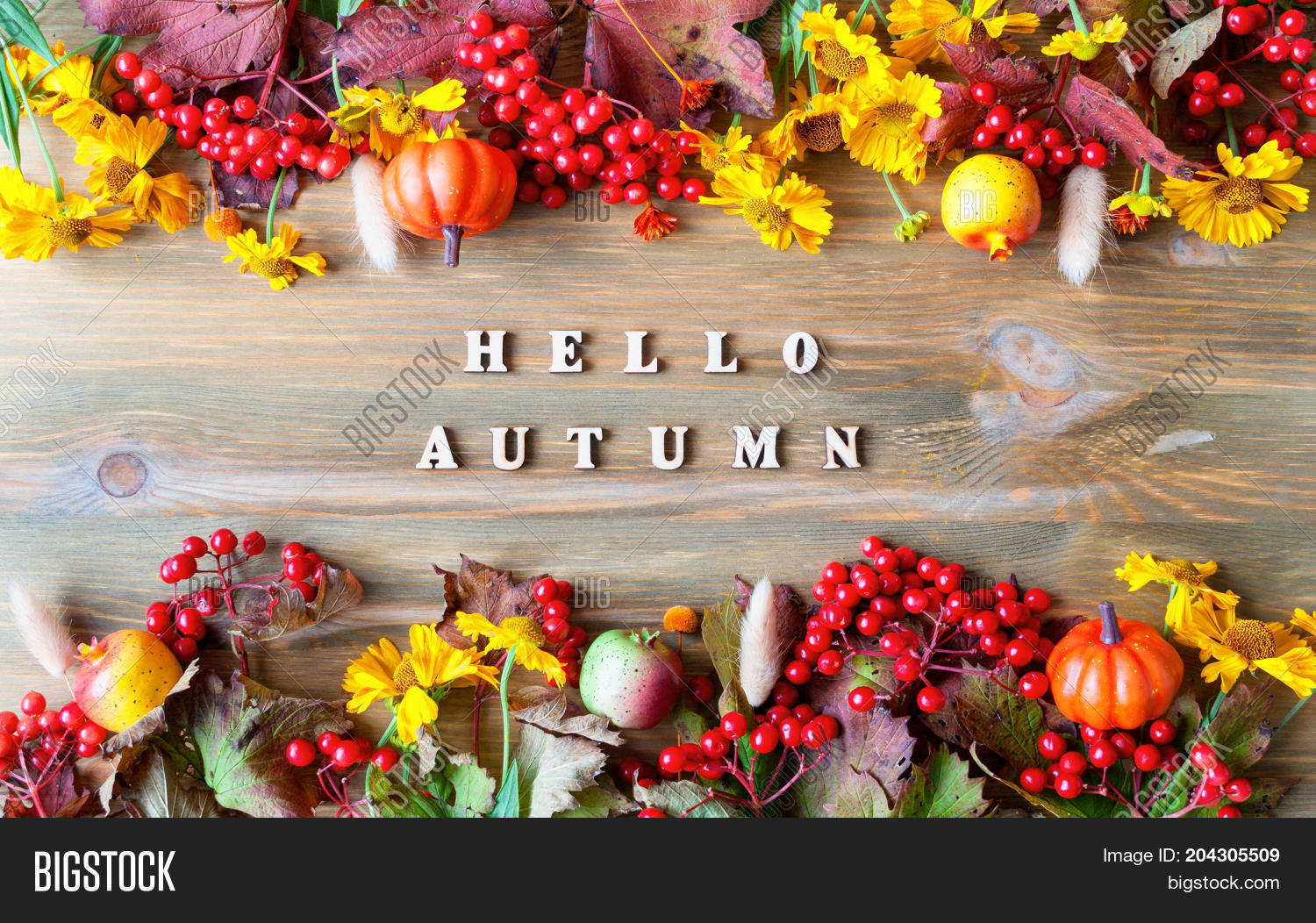 Fall Background. Hello Image & Photo (Free Trial) | Bigstock