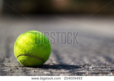 The lime green tennis ball on asphalt court. On the ball falls a shadow from the tennis grid.