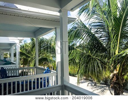 white fences on a balcony overlooking a grove of palm trees in Key West