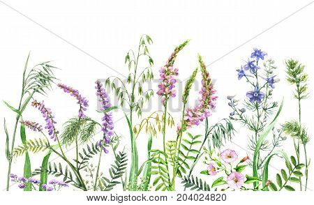 Hand drawn wild flowers. Watercolor wildflowers on white background. Color floral border.