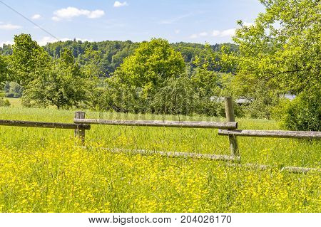 sunny rural scenery around a meadow at spring time
