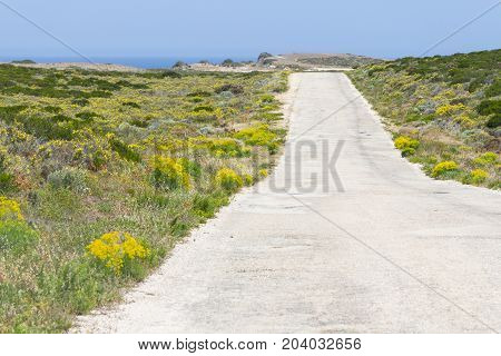 Road, Flowers And Mountain In Arrifana