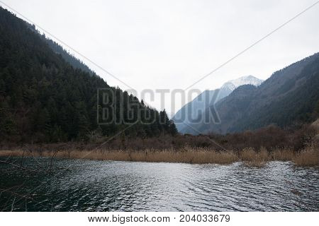 River landscape with mountains. Mountains in the background of a river. Forest mountains in the water