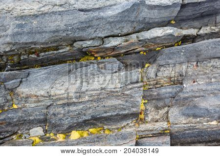 The texture of the north underwater rocks at low tide