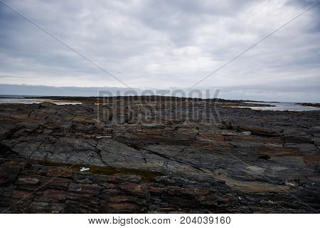 The texture of the north underwater rocks at low tide