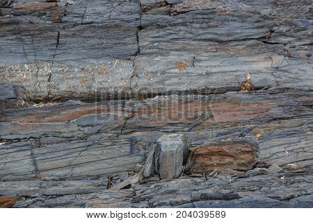 The texture of the north underwater rocks at low tide