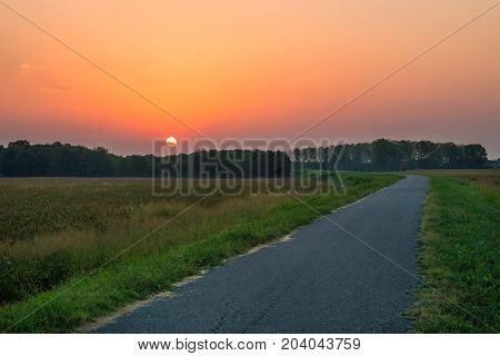 Beautiful sunrise captured during a morning walk. Countryside place in Po Valley (Italy)