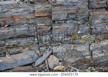 The texture of the north underwater rocks at low tide