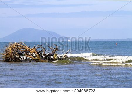 The Beach Ban Krut natural amd wave in Prachuap Khirikhun Province Thailand is famous for travel