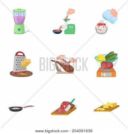 equipment, appliance, kitchen and other  icon in cartoon style. piece, Smoked meat, delicacy icons in set collection.