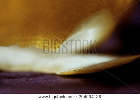 Citrus essential oil, vitamin c serum, beauty care aroma therapy. Macro close up of peel of Lemon. Inside and outside of Lemon.