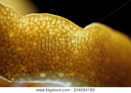 Citrus essential oil, vitamin c serum, beauty care aroma therapy. Macro close up of peel of Lemon. Inside and outside of Lemon.
