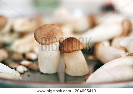 Origin Mushroom couple love mood food fresh