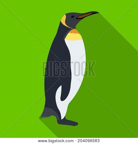 Penguin, flightless sea bird. The Imperial Penguin single icon in flat style vector symbol stock illustration .