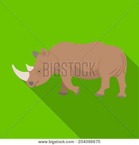 A large Indian rhinoceros. A wild animal, a rhinoceros single icon in flat style vector symbol stock illustration .